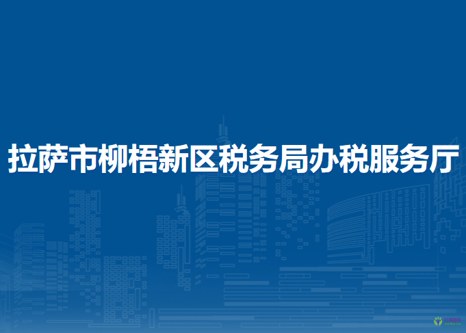 拉萨市柳梧新区税务局办税服务厅