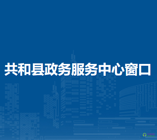 共和县政务服务中心办税服务窗口
