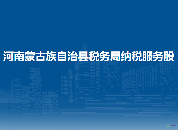 河南蒙古族自治县税务局纳税服务股