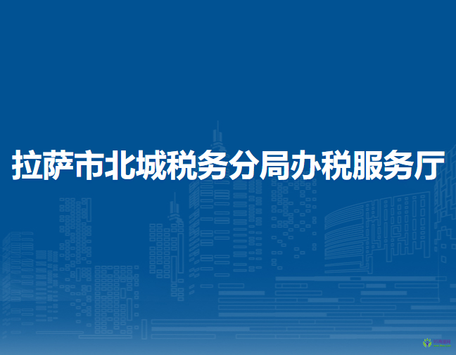 拉萨市北城税务分局办税服务厅