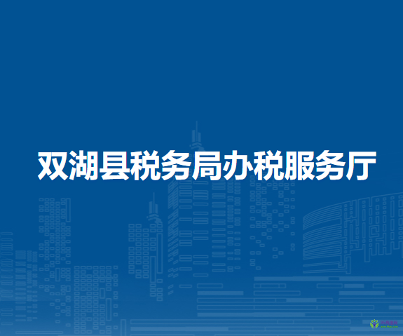 双湖县税务局办税服务厅