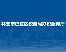 林芝市巴宜区税务局办税服务厅