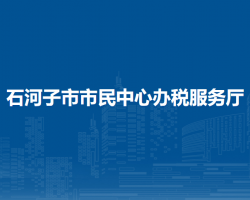 石河子市市民中心办税服务厅