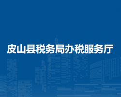 皮山县税务局办税服务厅