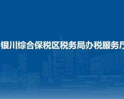 银川综合保税区税务局办税服务厅