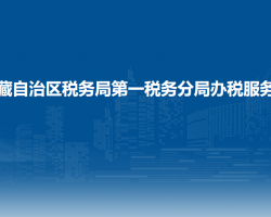 西藏自治区税务局第一税务分局办税服务厅