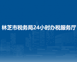 林芝市税务局24小时办税服务厅