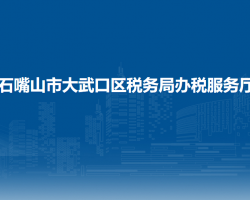 石嘴山市大武口区税务局办税服务厅