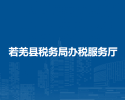 若羌县税务局办税服务厅