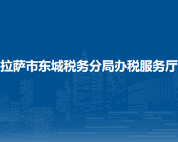 拉萨市东城税务分局办税服务厅