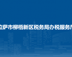 拉萨市柳梧新区税务局办税服务厅