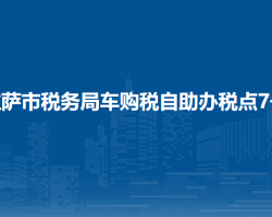 拉萨市税务局车购税自助办税点7号