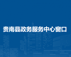 贵南县政务服务中心办税服务窗口