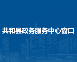 共和县政务服务中心办税服务窗口
