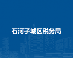 石河子城区税务局纳税服务股办税服务厅