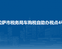 拉萨市税务局车购税自助办税点4号