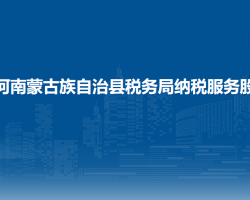 河南蒙古族自治县税务局纳税服务股