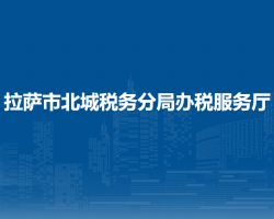拉萨市北城税务分局办税服务厅