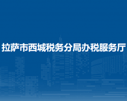 拉萨市西城税务分局办税服务厅