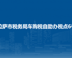 拉萨市税务局车购税自助办税点6号