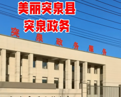 突泉县政务服务中心