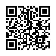 ”95商服网移动站“