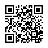 ”95商服网移动站“