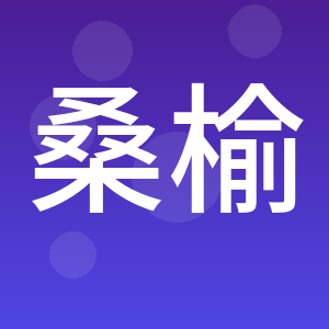 重庆桑榆晴评估咨询有限公司