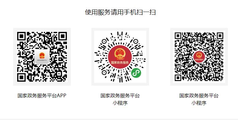 国家政务服务平台APP