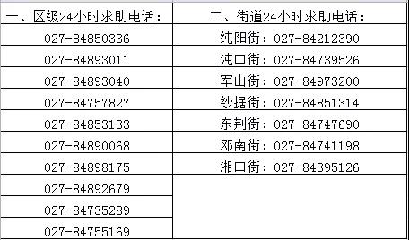 武汉疫情防控咨询电话