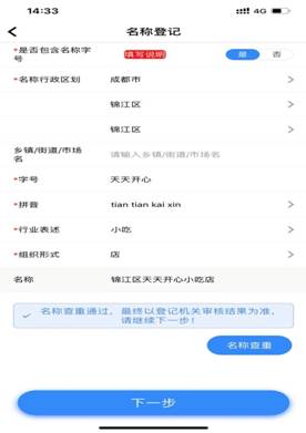 申报名称