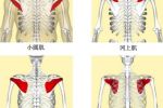 邱博士谈武学：武学中小肌肉群、小关节与人体稳定性