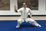 邱博士谈武学：中国武学中的 圈缠之法