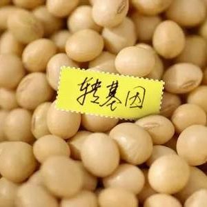 农业转基因生物安全证书(进口)批准清单