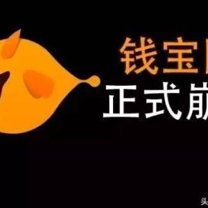 钱宝网终于还是崩盘了，涉嫌第三方支付平台