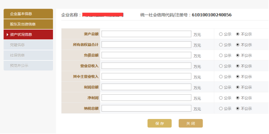 进入资产状况信息填写