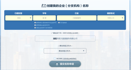 我的申报