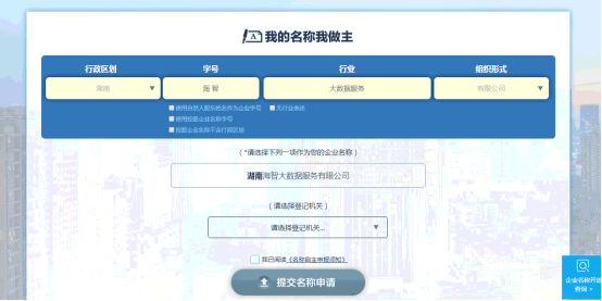 企业名称自主申报平台主页面