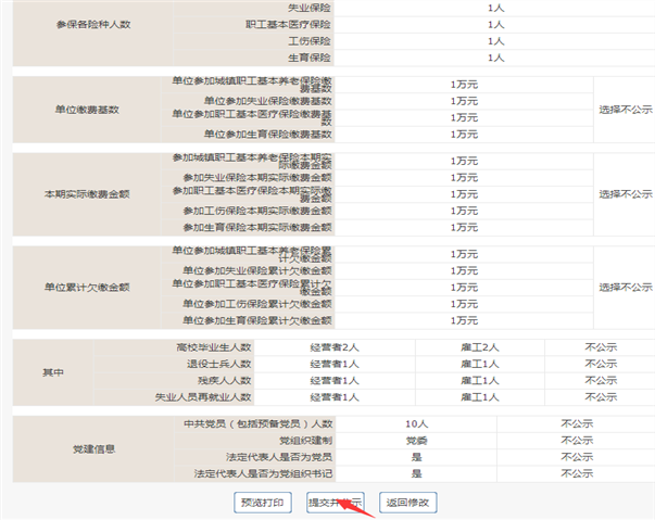 企业年报预览并公示