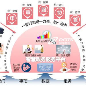 中国“互联网+政务服务”平台建设的具体特征、动因和绩效