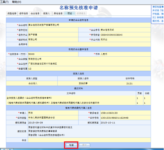 申请信息预览检查图