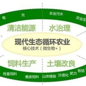 办一个生态循环养殖农场需要什么手续？申请流程是什么？