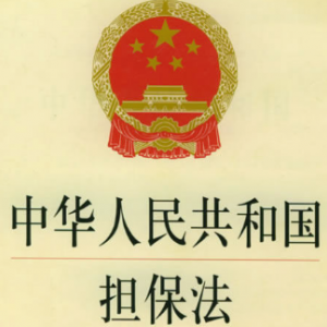 中华人民共和国担保法