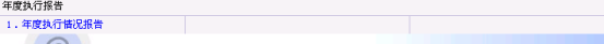 年度执行情况报告