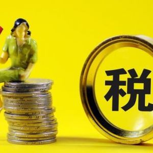 100个税务风险点、税务稽查点自查说明