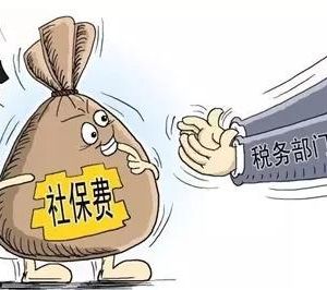 国家税务总局要求一律不得自行组织清缴民企欠费社保