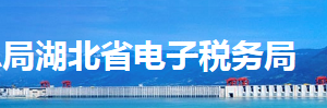 湖北省电子税务局主要功能介绍