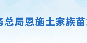 巴东县税务局办税服务厅地址办公时间及联系电话