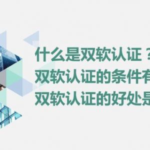 什么是双软认证？双软认证的条件是什么？双软认证的好处有哪些？