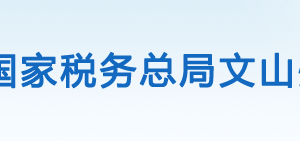 文山市税务局办税服务厅办公时间地址及咨询电话